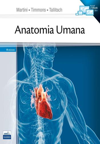 Anatomia umana - Frederic H. Martini, Michael J. Timmons, Robert B. Tallitsch - Libro Edises 2016 | Libraccio.it