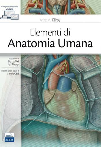 Elementi di anatomia umana. Con Contenuto digitale (fornito elettronicamente) - Anne M. Gilroy - Libro Edises 2017 | Libraccio.it