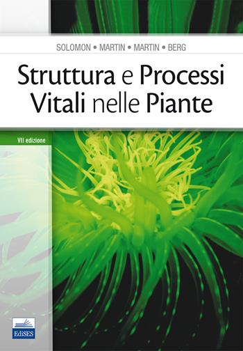 Struttura e processi vitali nelle piante - Eldra P. Solomon, C. E. Martin, Diana W. Martin - Libro Edises 2017 | Libraccio.it
