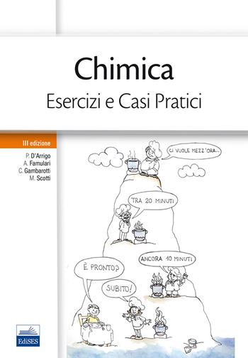 Chimica. Esercizi e casi pratici - Paola D'Arrigo, Antonino Famulari, Cristian Gambarotti - Libro Edises 2017 | Libraccio.it