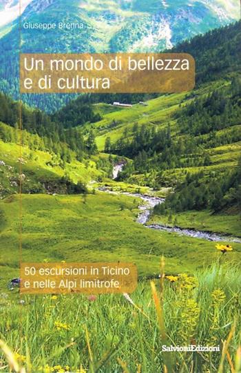 Un mondo di bellezza e di cultura. 50 escursioni in Ticino e nelle Alpi limitrofe - Giuseppe Brenna - Libro Salvioni 2008 | Libraccio.it