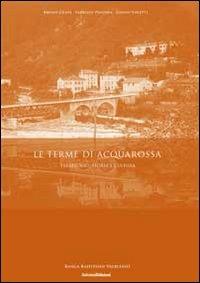 Le terme di Acquarossa. Territorio, storia e cultura - Bruno Grata, Fabrizio Panzera, Giulio Foletti - Libro Salvioni 2011 | Libraccio.it