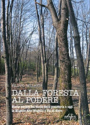 Dalla foresta al podere. Storia sociale del bosco, dalla preistoria a oggi in Mugello e Val di Sieve - Filippo Bellandi - Libro EDIFIR 2007, Ambiente | Libraccio.it