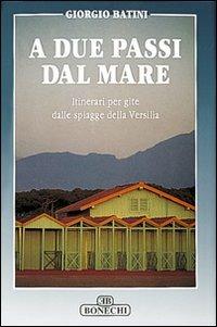 A due passi dal mare. Itinerari per gite dalle spiagge della Versilia - Giorgio Batini - Libro Bonechi 1995, Vita e costume | Libraccio.it