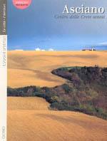Asciano  - Libro Octavo 1998, Luoghi d'Italia | Libraccio.it