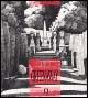 Peter Greenaway - Giovanni Bogani - Libro Il Castoro 1995, Il Castoro cinema | Libraccio.it