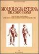 Morfologia esterna del corpo umano - Giovanni Civardi - Libro Il Castello 1999, Disegno e tecniche pittoriche | Libraccio.it