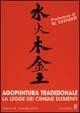 Agopuntura tradizionale. La legge dei cinque elementi - Dianne M. Connelly - Libro Il Castello 2010, Manuali della salute | Libraccio.it