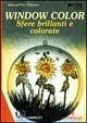 Window color. Sfere brillanti e colorate - Hiltrud Pitz Thissen - Libro Il Castello 2002, Att. art. artig.-Varie | Libraccio.it