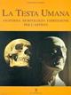 La testa umana - Giovanni Civardi - Libro Il Castello 2002, Disegno e tecniche pittoriche | Libraccio.it