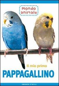 Il mio primo pappagallino - Amanda O'Neill - Libro Il Castello 2007, Animali | Libraccio.it