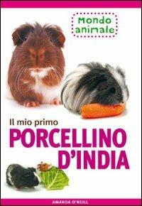 Il mio primo porcellino d'India - Amanda O'Neill - Libro Il Castello 2007, Animali | Libraccio.it