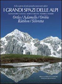 I grandi spazi delle Alpi. Vol. 5: Ortles, Adamello, Oròbie, Ratikon, Silvretta. - Alessandro Gogna, Marco Milani, Federico Raiser - Libro Priuli & Verlucca 2001, I grandi spazi delle Alpi | Libraccio.it