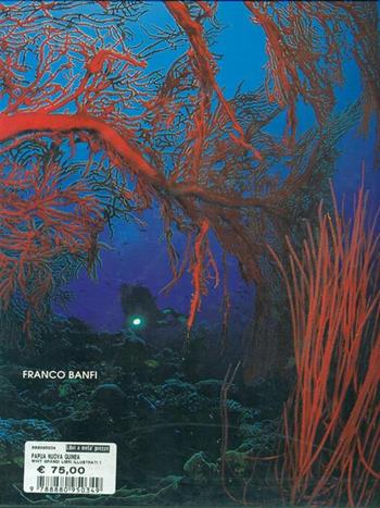 Papua Nuova Guinea. Ediz. illustrata - Franco Banfi - Libro White Star 1996, I segreti del mare | Libraccio.it