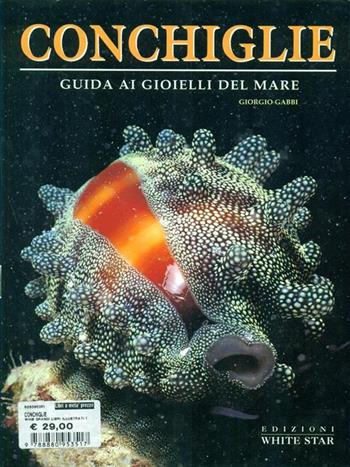 Conchiglie. Guida ai gioielli del mare. Ediz. illustrata - Giorgio Gabbi - Libro White Star 2000, Guide al mondo sottomarino | Libraccio.it