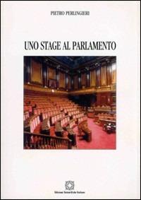 Uno stage al parlamento - Pietro Perlingieri - Libro Edizioni Scientifiche Italiane 1997 | Libraccio.it