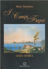 I campi Flegrei. Guida storica - Mario Sirpettino - Libro Edizioni Scientifiche Italiane 1999 | Libraccio.it