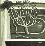 Julia Binfield. Graphic design & illustration. Ediz. italiana e inglese - Julia Binfield, Perry King, Santiago Miranda - Libro Charta 1995, ChartaGraphic | Libraccio.it