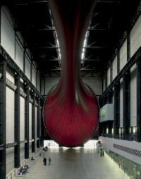 Anish Kapoor. Whiteout. Catalogo della mostra (New York, May 8-June 25 2004) - Anthony Vidler - Libro Charta 2004 | Libraccio.it