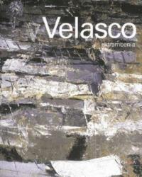 Velasco. Extramoenia. Ediz. italiana e inglese - Alessandro Riva, Luca Doninelli, Pino Corrias - Libro Charta 2004 | Libraccio.it
