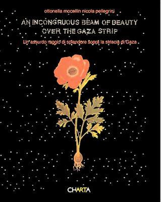 Incongruous beam of beauty over the Gaza strip-Un assurdo raggio di splendore sopra la striscia di Gaza (An). Ediz. bilingue - Ottonella Mocellin, Nicola Pellegrini - Libro Charta 2008 | Libraccio.it