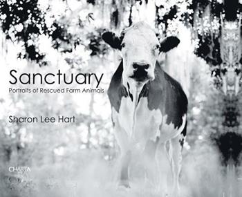 Sharon Lee Hart. Sanctuary: portraits of rescued farm animals. Ediz. illustrata  - Libro Charta 2012 | Libraccio.it