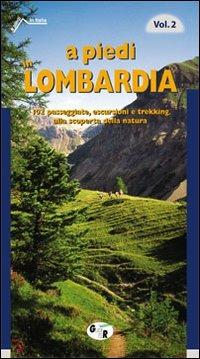 A piedi in Lombardia. 102 passeggiate, escursioni e trekking alla scoperta della natura. Vol. 2  - Libro Iter Edizioni 2008, A piedi in Italia | Libraccio.it