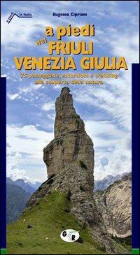 A piedi nel Friuli Venezia Giulia - Eugenio Cipriani - Libro Iter Edizioni 2008, A piedi in Italia | Libraccio.it