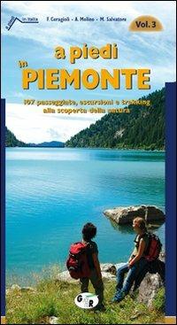 107 passeggiate - Molino Aldo escursioni e trekki.. C... A piedi in Piemonte 
