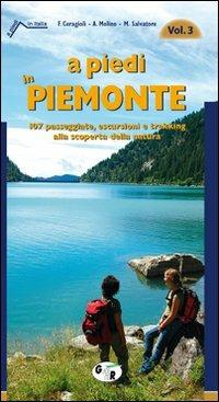 A piedi in Piemonte. 107 passeggiate, escursioni e trekking alla scoperta della natura. Vol. 3 - Aldo Molino, Filippo Ceragioli, Salvatore Mariano - Libro Iter Edizioni 2009, A piedi in Italia | Libraccio.it