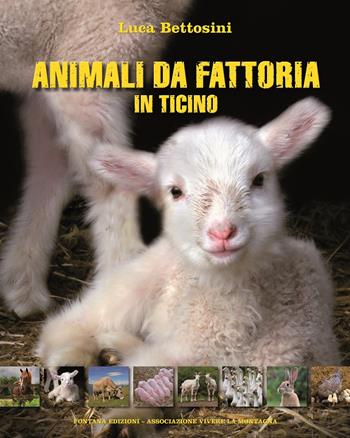 Animali da fattoria in Ticino - Luca Bettosini - Libro Fontana Edizioni 2011 | Libraccio.it