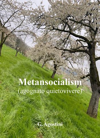 Metansocialism (agognato quietovivere) - Gino Agostini - Libro Fontana Edizioni 2024 | Libraccio.it