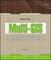 Multi-GIS. Software per il collegamento tra dati relativi ad un oggetto e la loro ubicazione sul territorio. Con Contenuto digitale per download e accesso on line