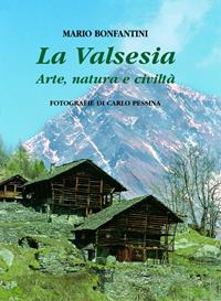 La Valsesia. Arte, natura e civiltà. Ediz. multilingue - Mario Bonfantini - Libro Interlinea 2022 | Libraccio.it