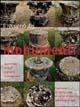 Il recupero dei monumenti. Architettura storica e progetti  - Libro Silvana 2004 | Libraccio.it