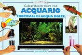 Guida pratica per creare il tuo acquario tropicale di acqua dolce. Come realizzare l'ambiente migliore per i tuoi pesci