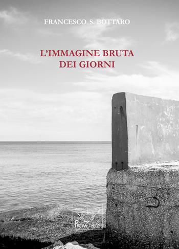 L' immagine bruta dei giorni - Francesco Stefano Bottaro - Libro Prometheus 2016 | Libraccio.it