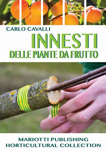 Innesti delle piante da frutto - Carlo Cavalli - Libro Mariotti 2021 | Libraccio.it