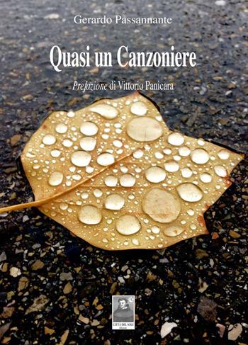 Quasi un canzoniere - Gerardo Passannante - Libro Città del Sole Edizioni 2017, Fuori collana | Libraccio.it