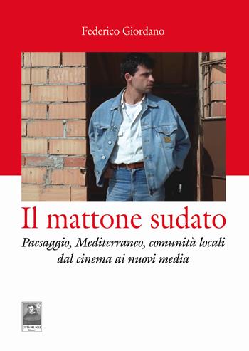 Il mattone sudato. Paesaggio, Mediterraneo, comunità locali dal cinema ai nuovi media - Federico Giordano - Libro Città del Sole Edizioni 2022, Lo specchio scuro | Libraccio.it