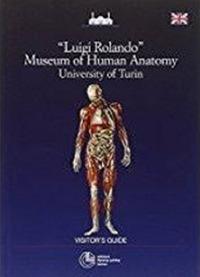 Museum of human anatomy. University of Turin - Luigi Rolando - Libro Cortina (Torino) 2015 | Libraccio.it