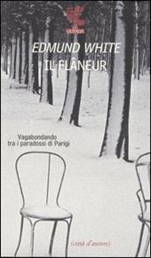 Il flâneur. Vagabondando tra i paradossi di Parigi