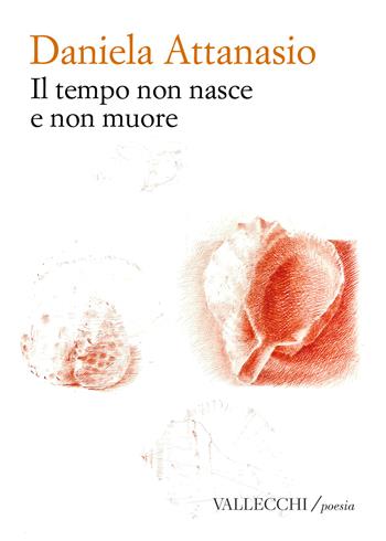 Il tempo non nasce e non muore - Daniela Attanasio - Libro Vallecchi Firenze 2026, Poesia | Libraccio.it
