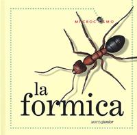 La formica. Ediz. illustrata - Ting Morris, Desiderio Sanzi - Libro Motta Junior 2009, Microcosmo | Libraccio.it