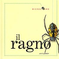 Il ragno. Ediz. illustrata - Ting Morris, Desiderio Sanzi - Libro Motta Junior 2008, Microcosmo | Libraccio.it