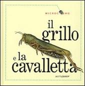 Il grillo e la cavalletta. Ediz. illustrata