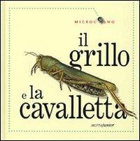 Il grillo e la cavalletta. Ediz. illustrata - Ting Morris - Libro Motta Junior 2009, Microcosmo | Libraccio.it