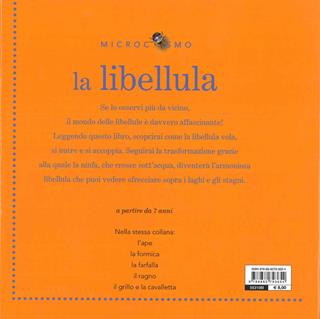 La libellula - Ting Morris - Libro Motta Junior 2011, Microcosmo | Libraccio.it