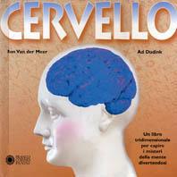 Cervello. Con modellini pop-up - Ron Van der Meer, Ad Dudink - Libro Franco Cosimo Panini 1999, I tridimensionali | Libraccio.it