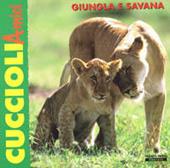 Giungla e savana
